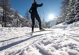 Sciatore di fondo su una pista soleggiata attraverso la foresta invernale a Pontresina.