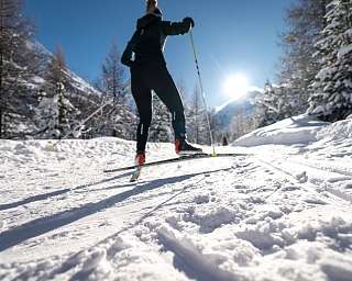 Langläuferin auf verschneiter Loipe in Pontresina mit schneebedeckten Lärchen und strahlender Wintersonne