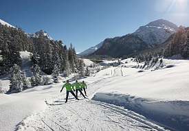 Tre sciatori di fondo su una pista soleggiata a Pontresina con montagne e foreste innevate sullo sfondo.