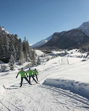 Three cross-country skiers in green jackets on a groomed trail in Pontresina, with snow-covered fir trees and an impressive mountain panorama