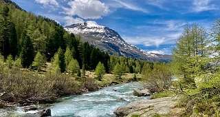 Sunstar Swiss Hotel Collection - Pontresina - Natur 2
