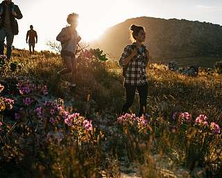 Groupe de randonneurs sur un sentier de montagne à Pontresina au coucher du soleil, entouré de fleurs alpines